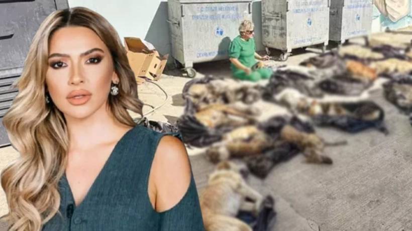 Hadise'den görülmemiş tepki! Hayvan katliamına çok sert tepki verdi 1